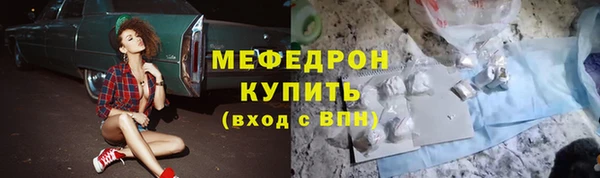 индика Бородино