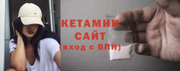 индика Бородино