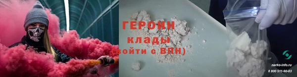 индика Бородино
