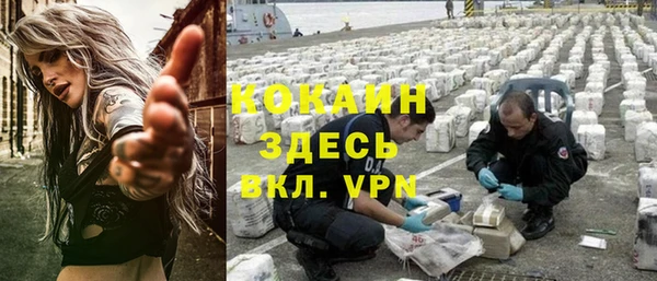индика Бородино