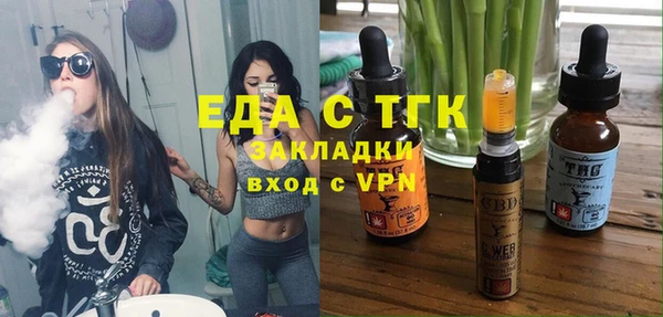 индика Бородино