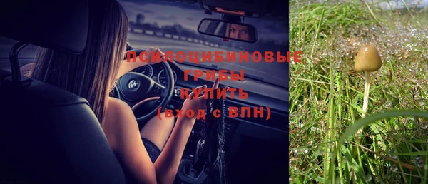индика Бородино