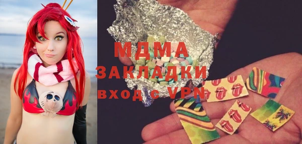 индика Бородино