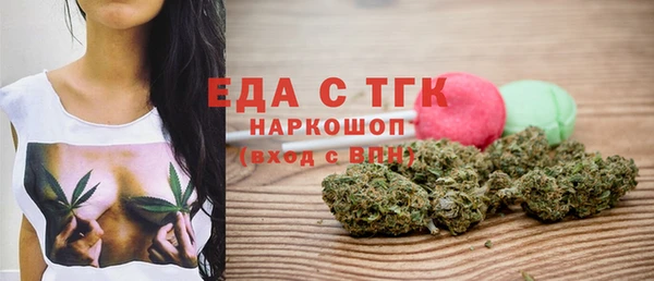 индика Бородино