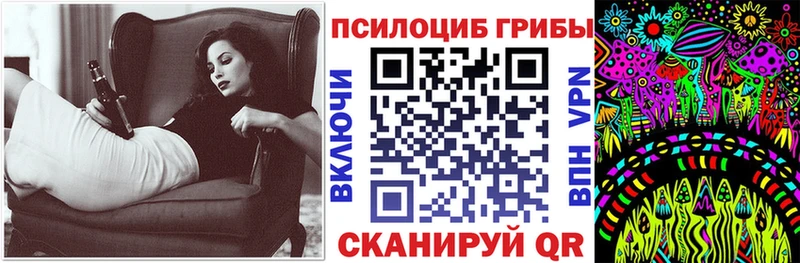 продажа наркотиков  Чудово  Псилоцибиновые грибы мицелий 