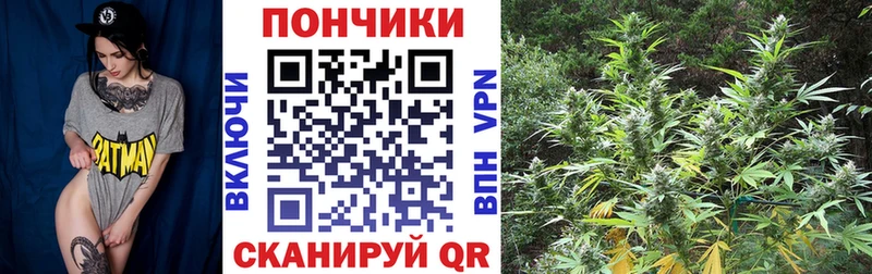 Канабис конопля  где найти   Чудово 